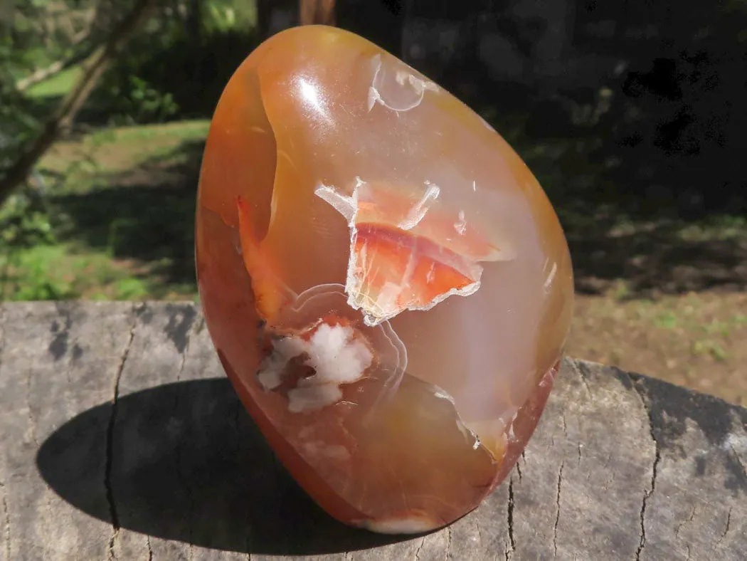 Polished Stunning Selection Of Dendritic & Coral Flower Agate Standing Free Forms x 4 From Madagascar