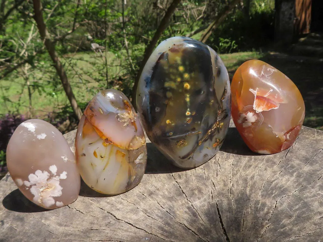 Polished Stunning Selection Of Dendritic & Coral Flower Agate Standing Free Forms x 4 From Madagascar