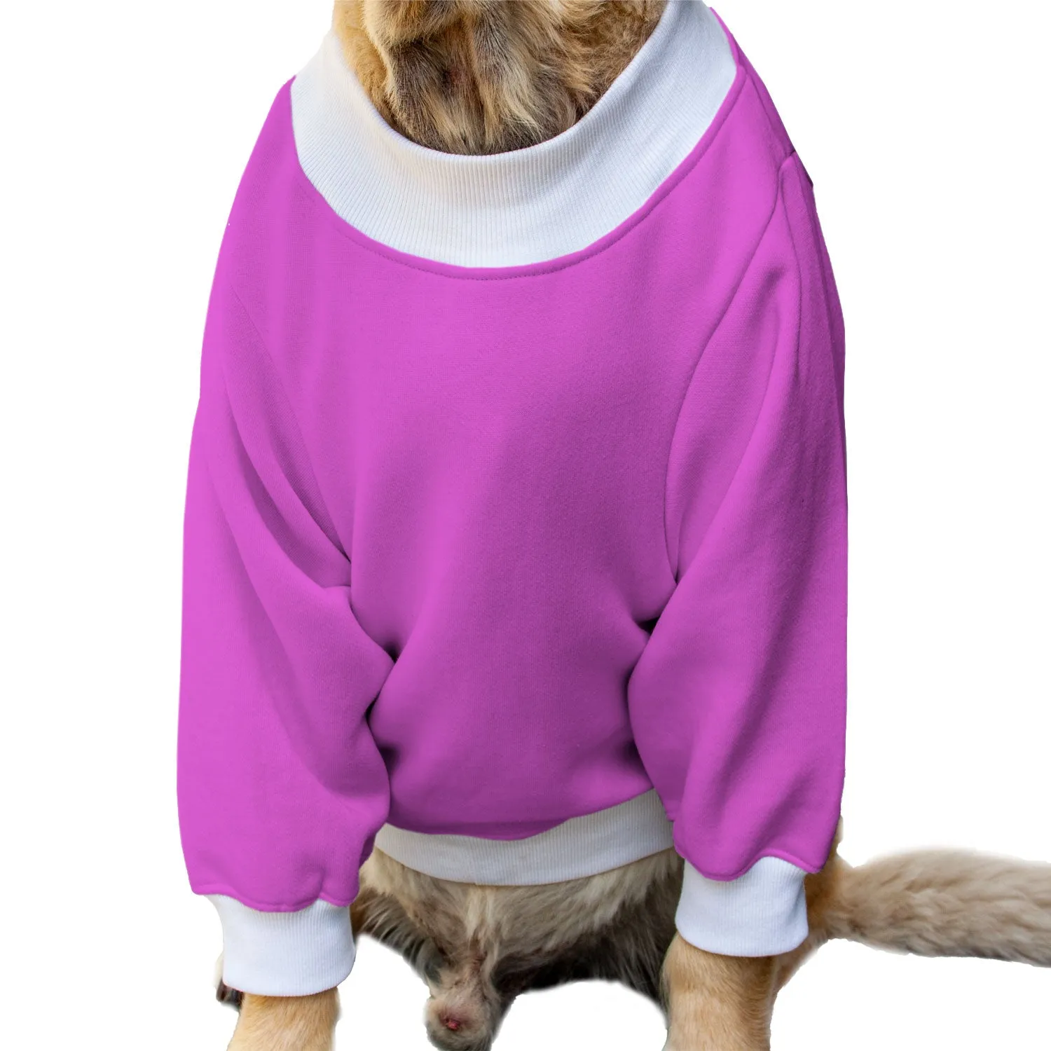 Ruse 'Basics' Crafty Crew Neck Full Sleeve Plain Sweatshirt For Dogs