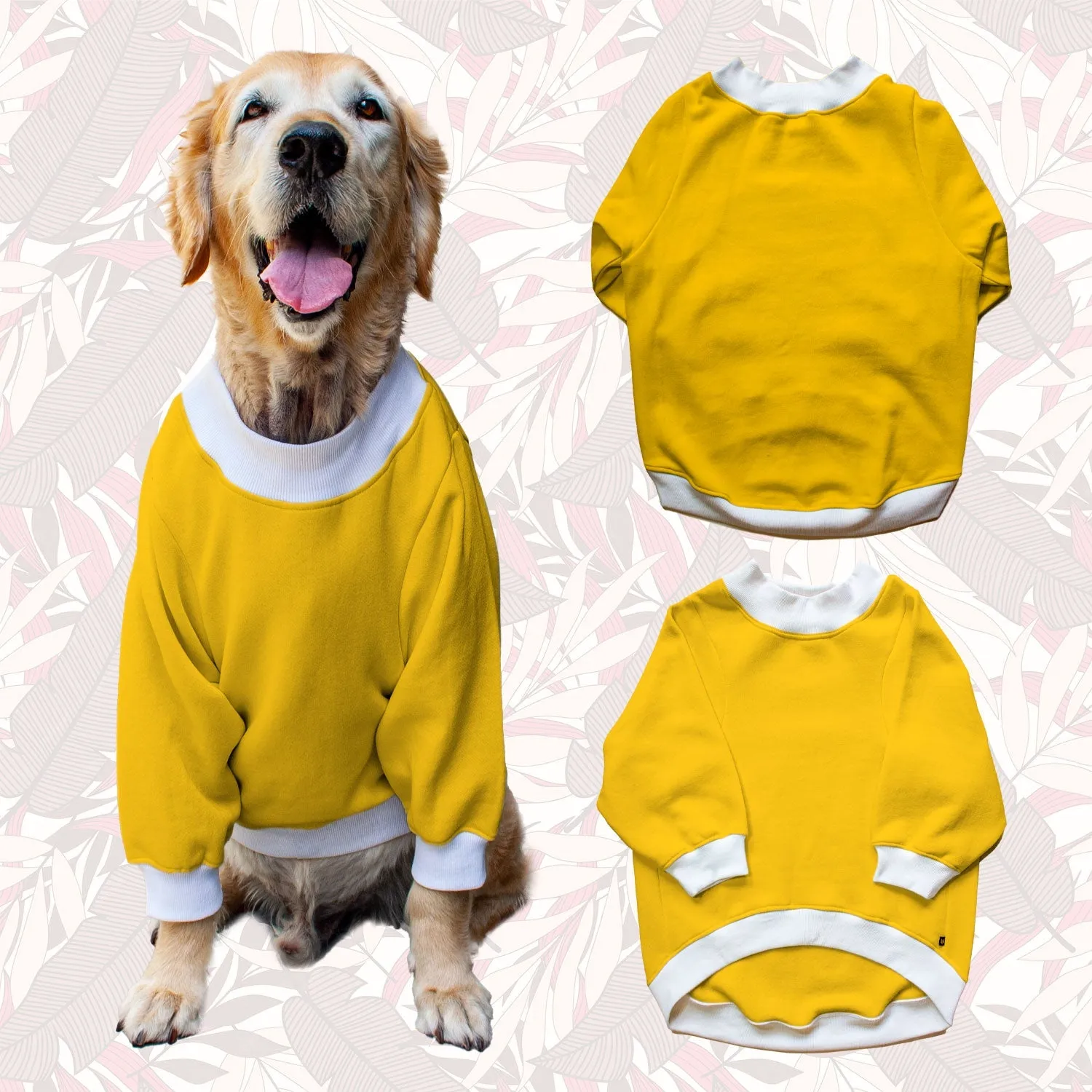 Ruse 'Basics' Crafty Crew Neck Full Sleeve Plain Sweatshirt For Dogs