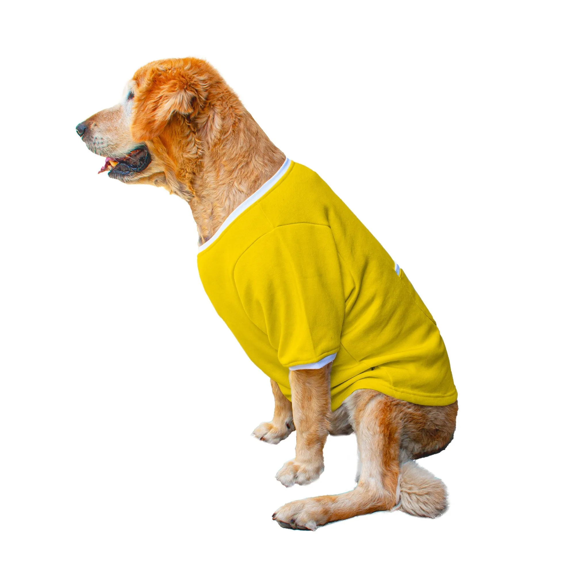 Ruse 'Basics' "Bosspup" Printed Crew Neck Full Sleeve Expedition Sweatshirt For Dogs