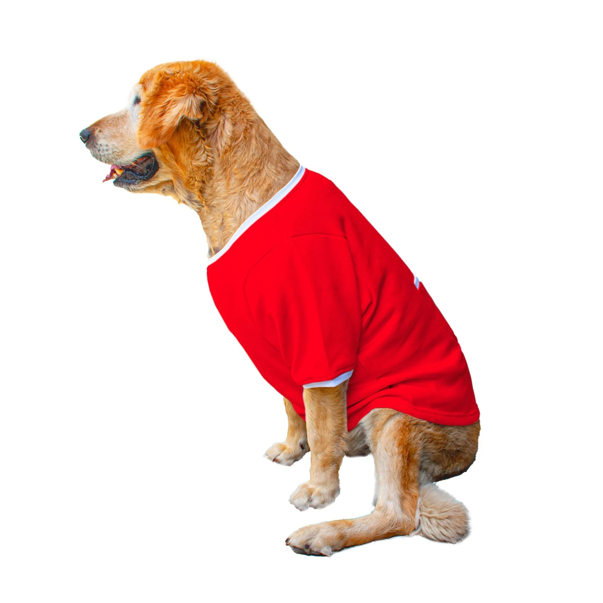 Ruse 'Basics' "Certified Hug Expert" Printed Crew Neck Full Sleeve Expedition Sweatshirt For Dogs