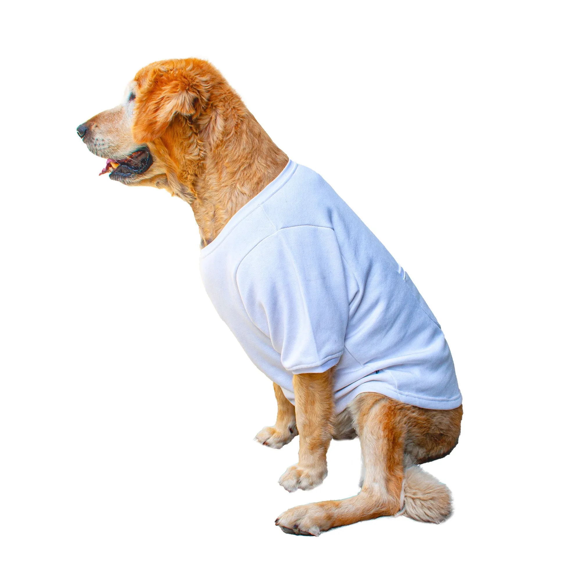 Ruse 'Basics' "Certified Hug Expert" Printed Crew Neck Full Sleeve Expedition Sweatshirt For Dogs