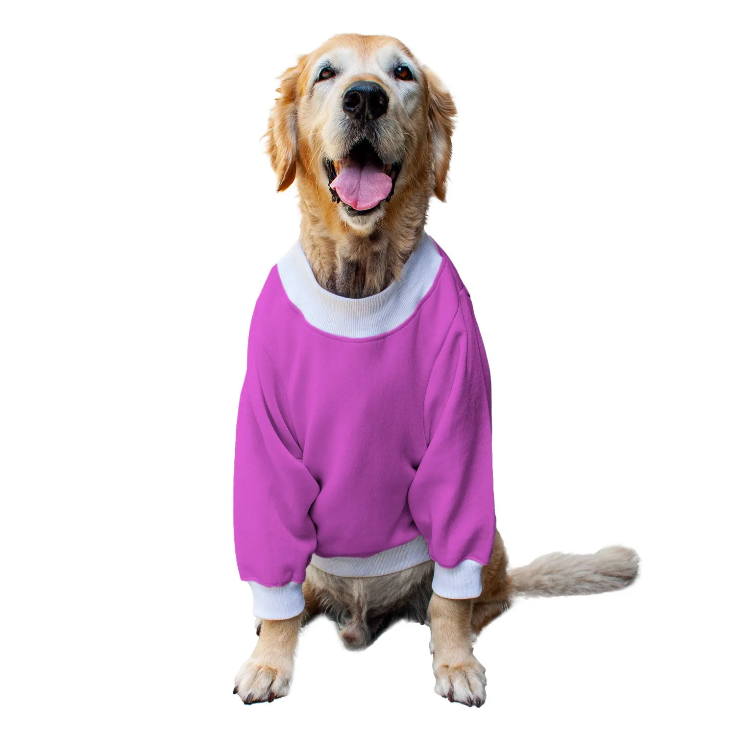 Ruse 'Basics' "Chillin With My Snowmies" Printed Crew Neck Full Sleeve Sweatshirt For Dogs