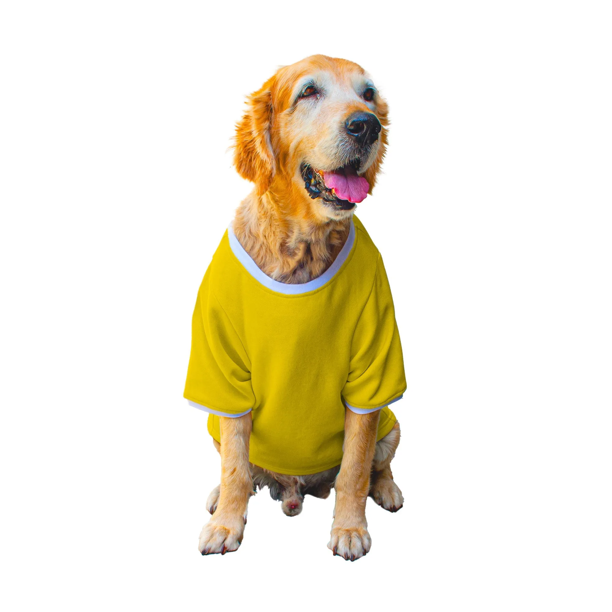 Ruse 'Basics' "Daily Dose of Happiness" Printed Crew Neck Full Sleeve Expedition Sweatshirt For Dogs