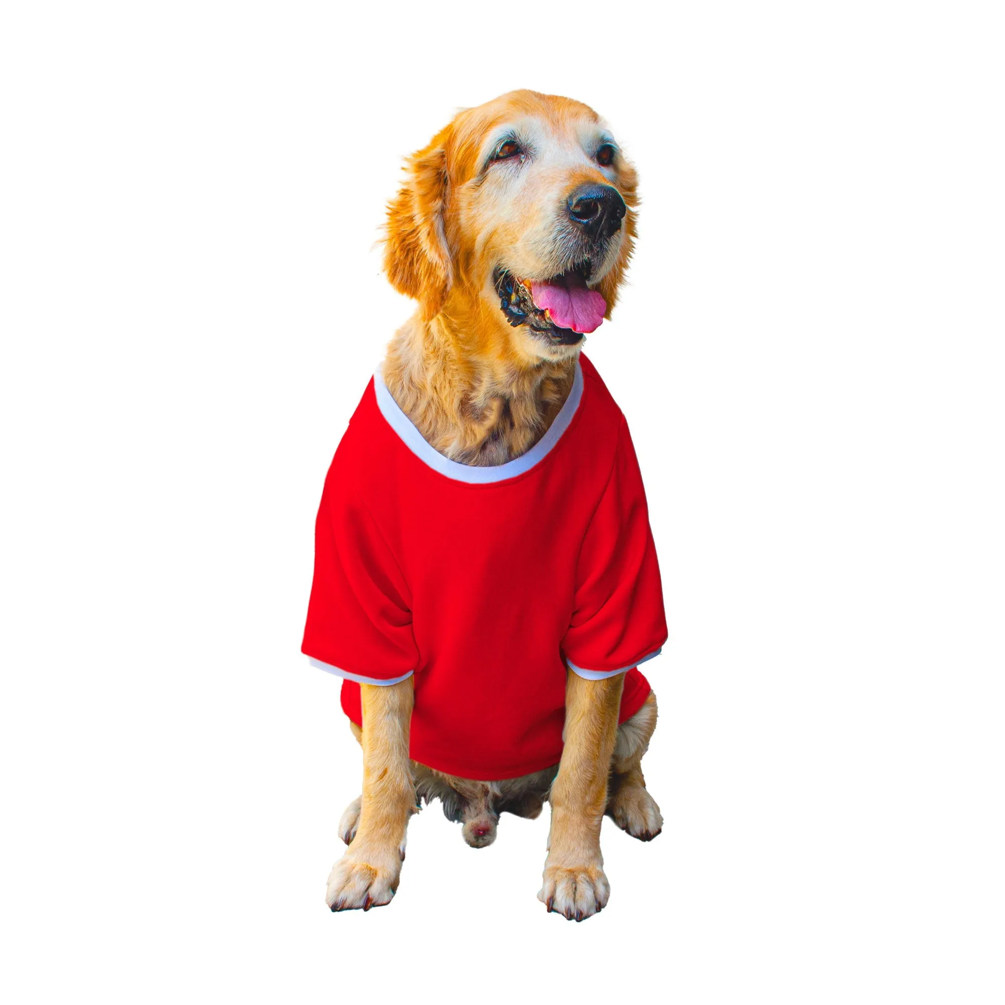 Ruse 'Basics' "Daily Dose of Happiness" Printed Crew Neck Full Sleeve Expedition Sweatshirt For Dogs