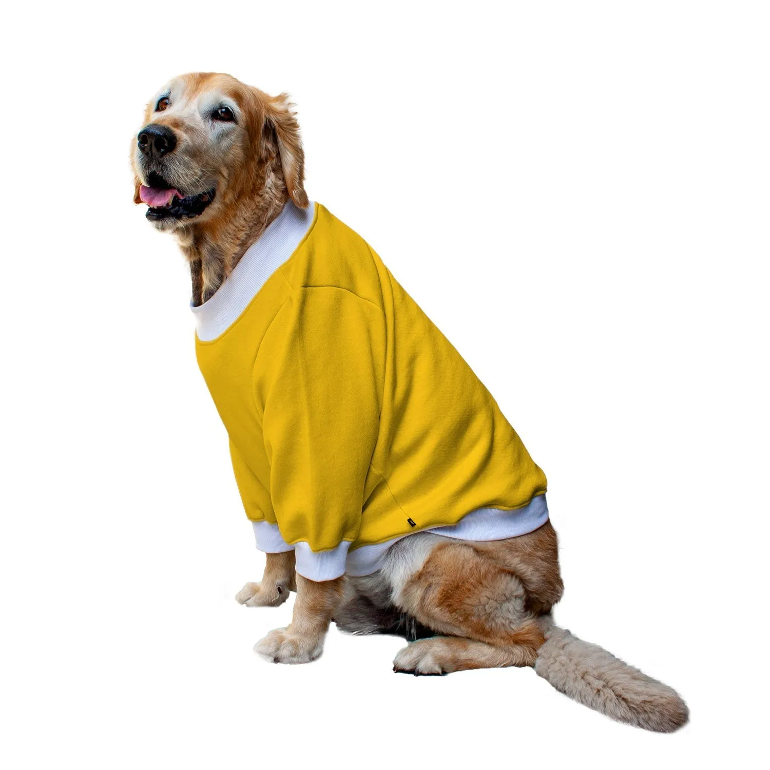 Ruse 'Basics' "Fine-apple" Printed Crew Neck Full Sleeve Sweatshirt For Dogs