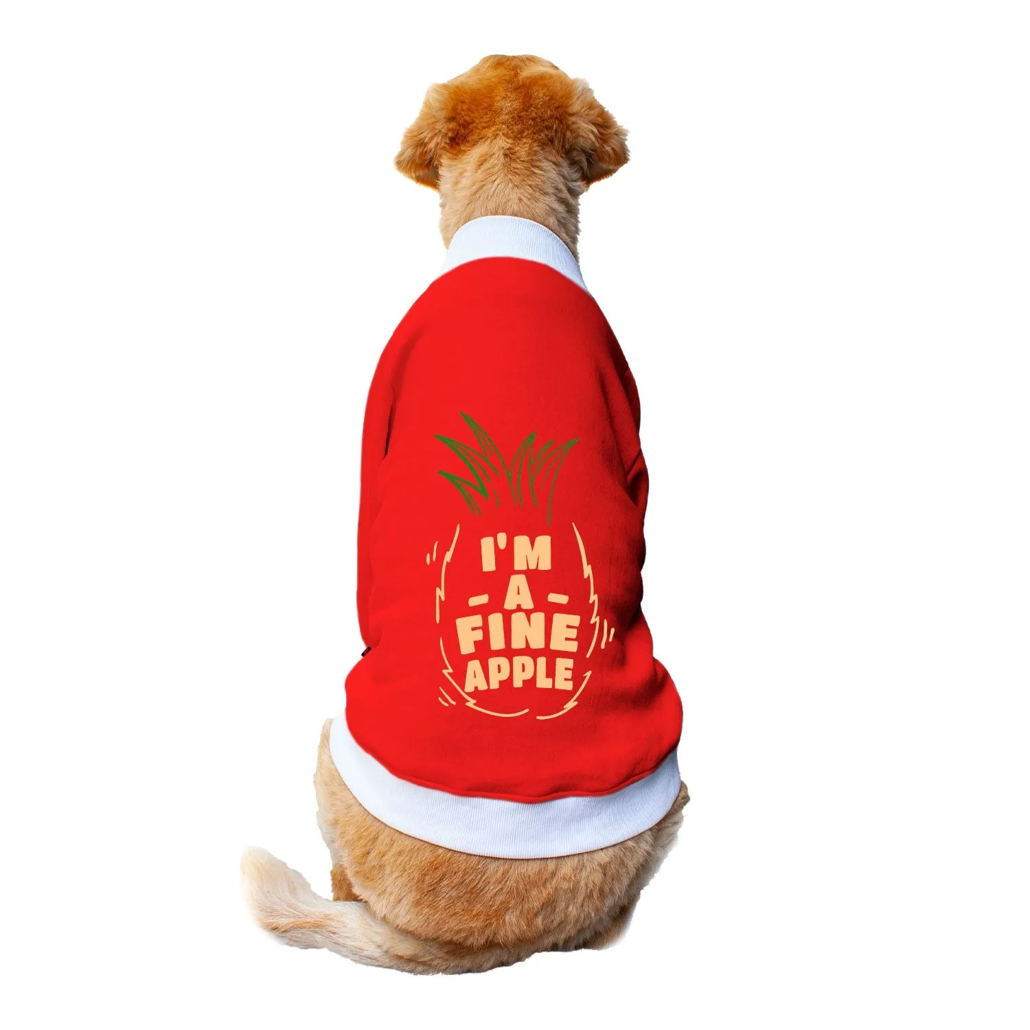 Ruse 'Basics' "Fine-apple" Printed Crew Neck Full Sleeve Sweatshirt For Dogs