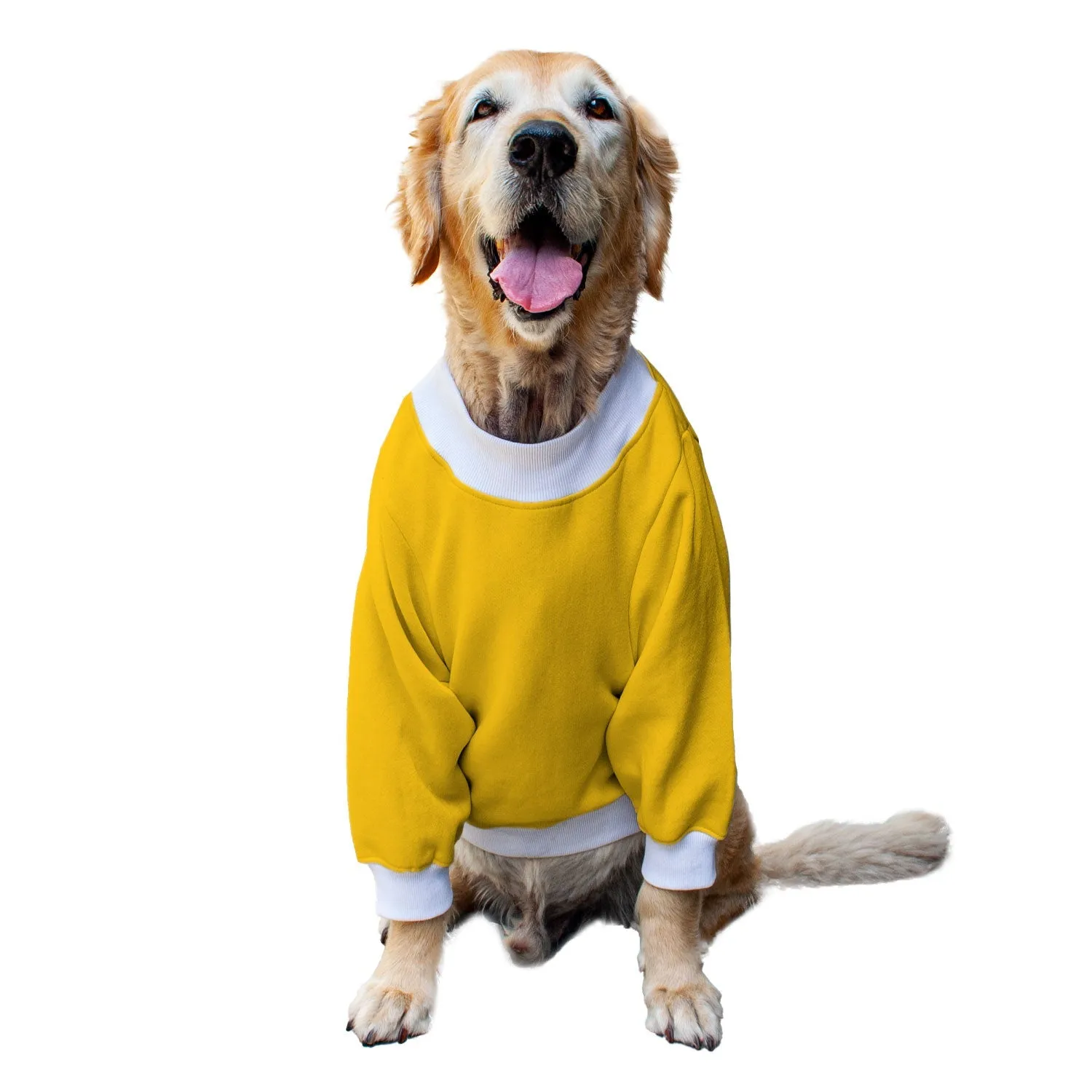 Ruse 'Basics' "Fine-apple" Printed Crew Neck Full Sleeve Sweatshirt For Dogs