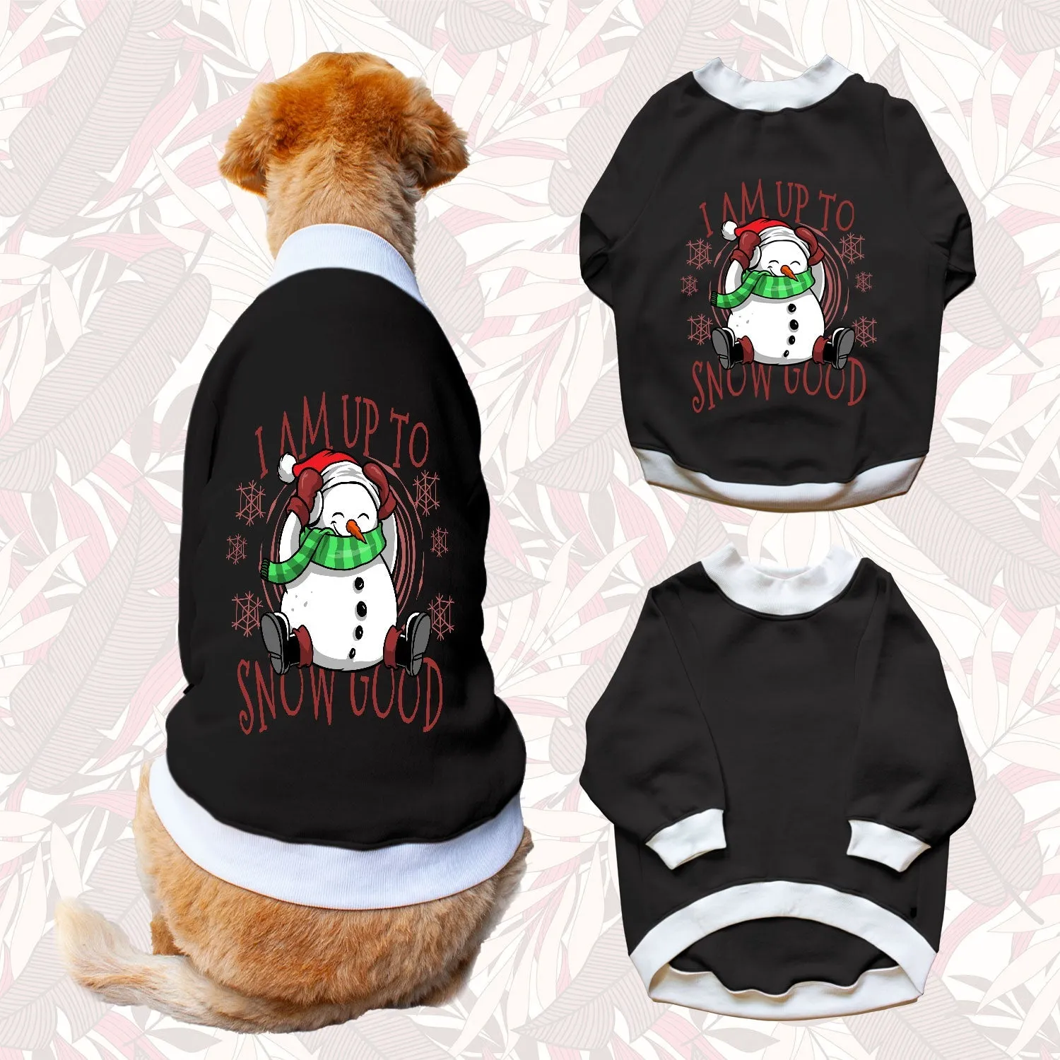 Ruse 'Basics' "I Am Upto Snow Good" Printed Crew Neck Full Sleeve Sweatshirt For Dogs