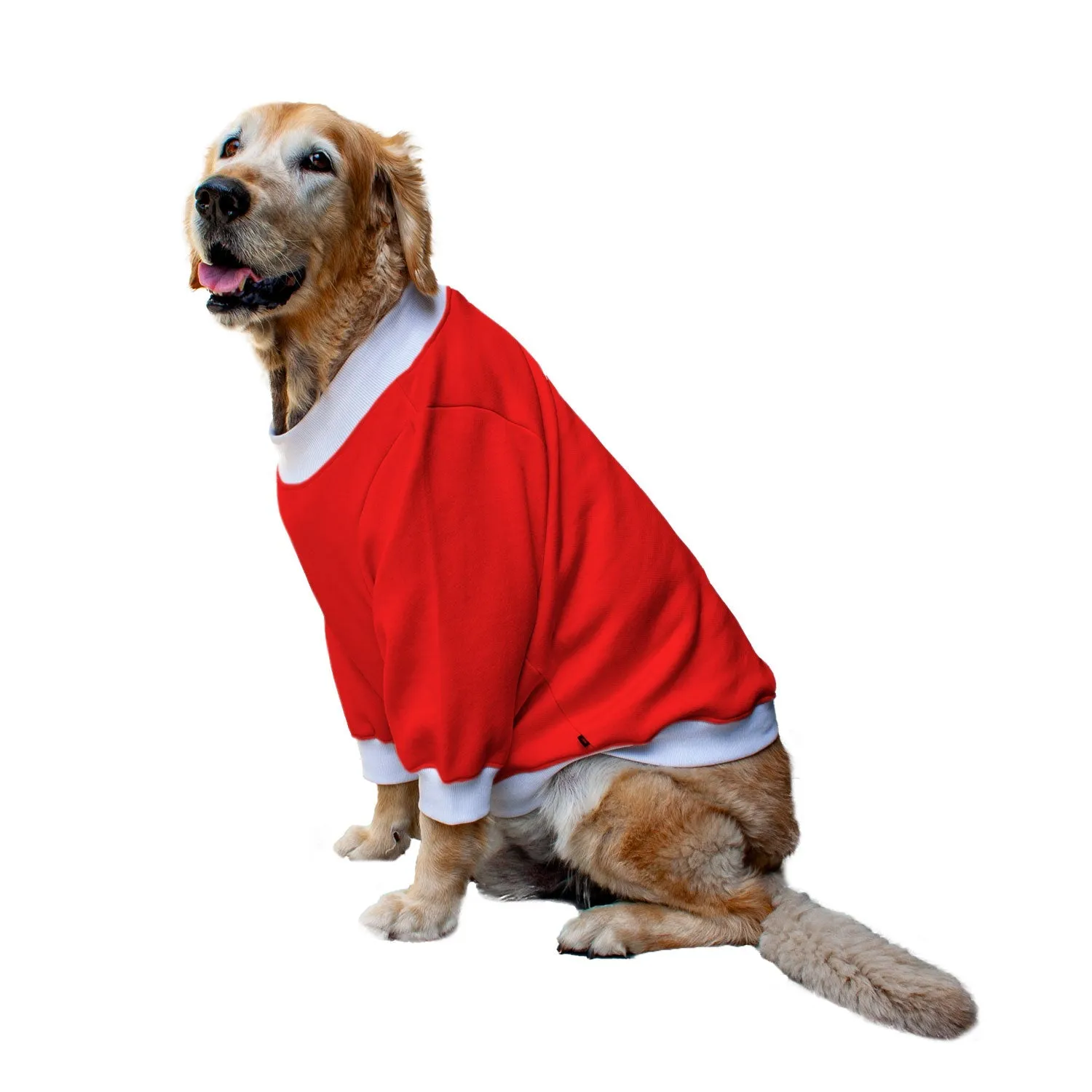 Ruse 'Basics' "I Am Upto Snow Good" Printed Crew Neck Full Sleeve Sweatshirt For Dogs