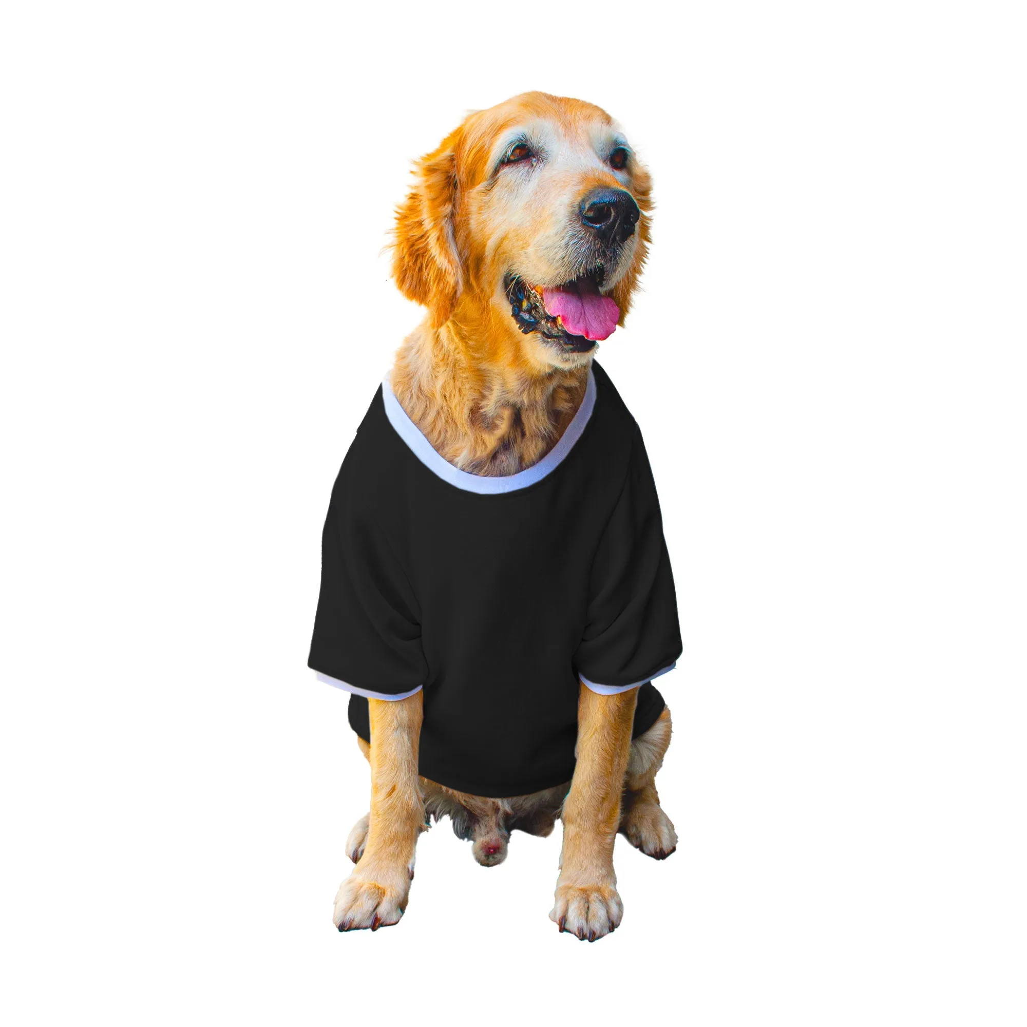 Ruse 'Basics' "I speak French (Fries)" Printed Crew Neck Full Sleeve Expedition Sweatshirt For Dogs