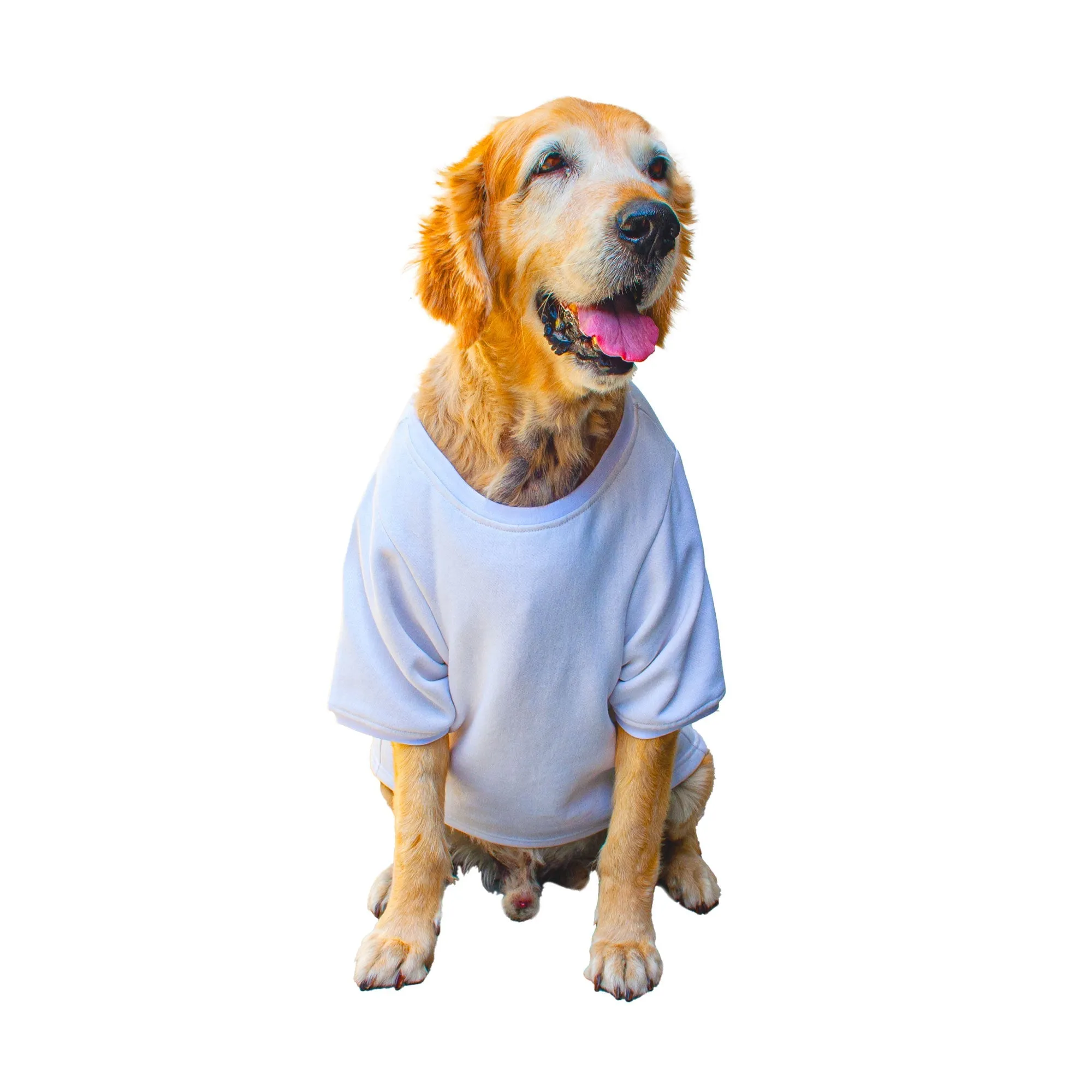 Ruse 'Basics' "It's Leg Day!" Printed Crew Neck Full Sleeve Expedition Sweatshirt For Dogs