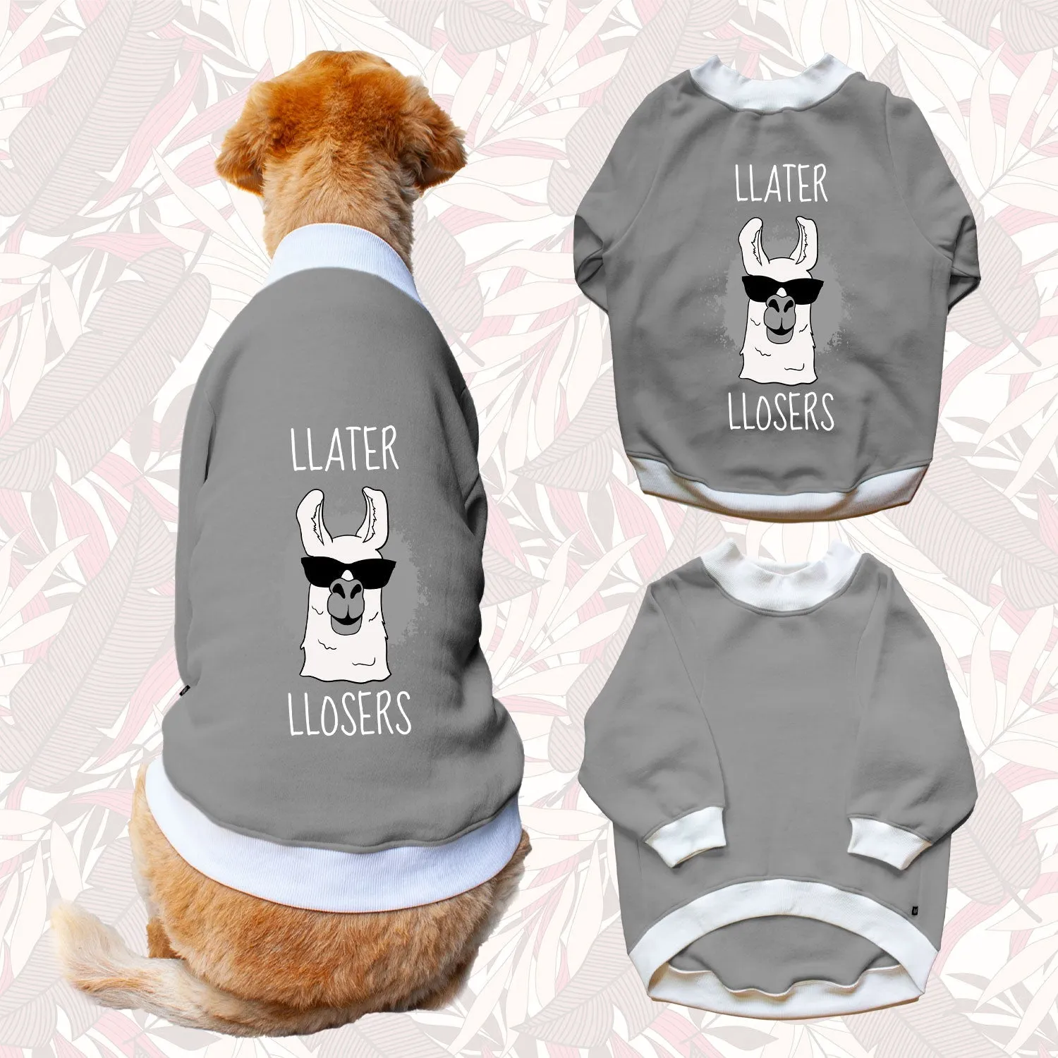 Ruse 'Basics' "Llater Llosers" Printed Crew Neck Full Sleeve Sweatshirt For Dogs