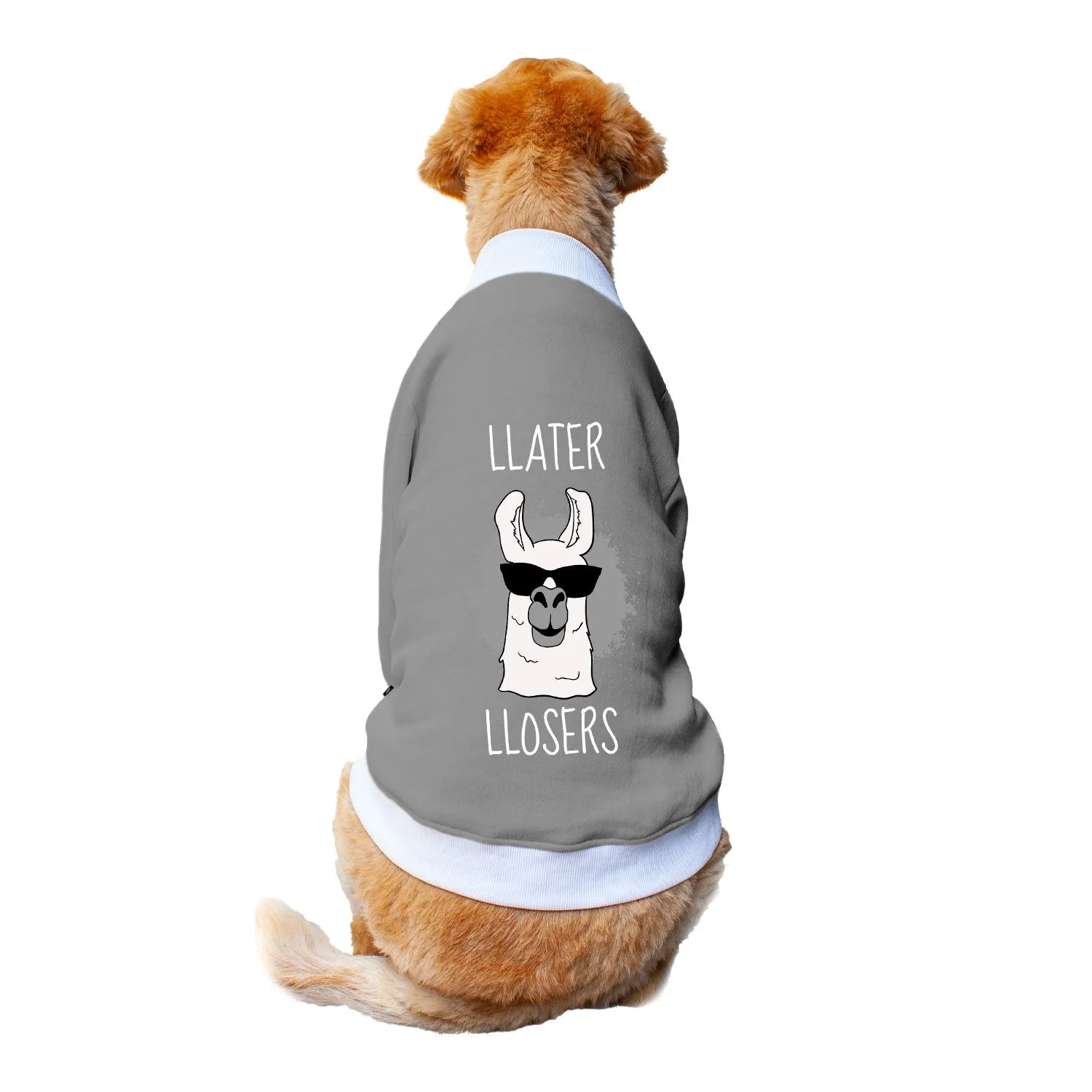 Ruse 'Basics' "Llater Llosers" Printed Crew Neck Full Sleeve Sweatshirt For Dogs