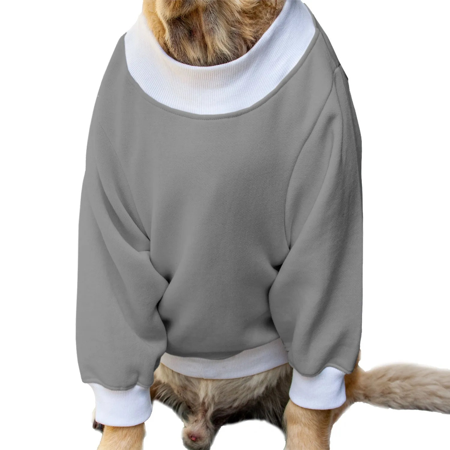 Ruse 'Basics' "Will Do Tricks For Treats" Printed Crew Neck Full Sleeve Sweatshirt For Dogs