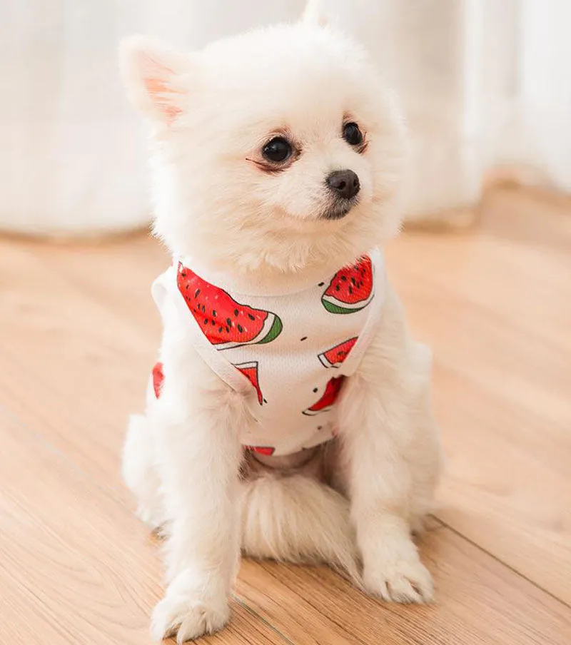 Summer spring and autumn thin vest Teddy Bichon Pomeranian puppy clothes